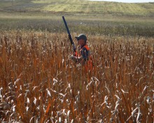 Pheasant hunter in cattails