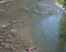 Wading in the Hoback River